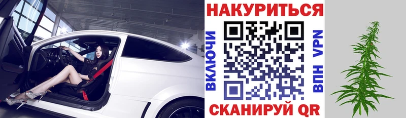 Галлюциногенные грибы Советский