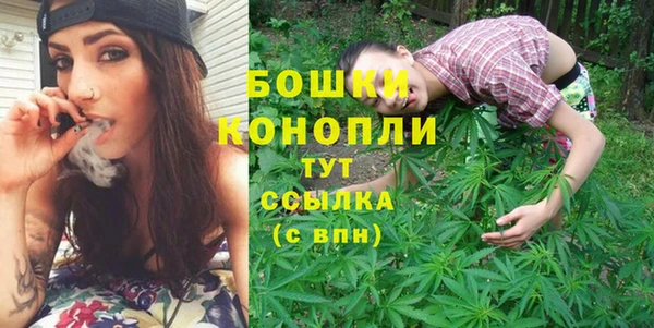 мдпв Вязьма