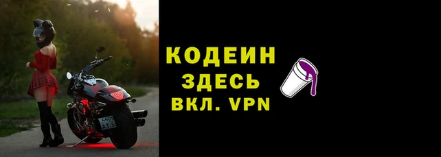 мдпв Вязьма