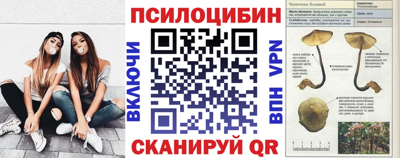 кракен как войти  Советский  Псилоцибиновые грибы мицелий 