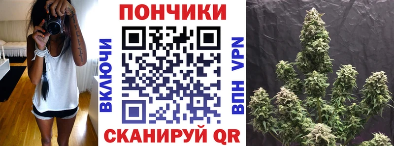 MEGA вход Советский Шишки марихуана тримм